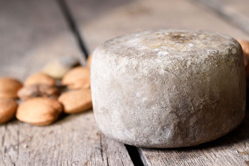 Formatge Garrotxa semicurat Muntanyola (350 gr.)