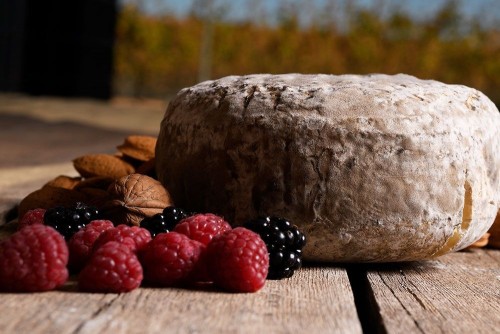 Formatge Garrotxa Bauma (1,2 kg.)