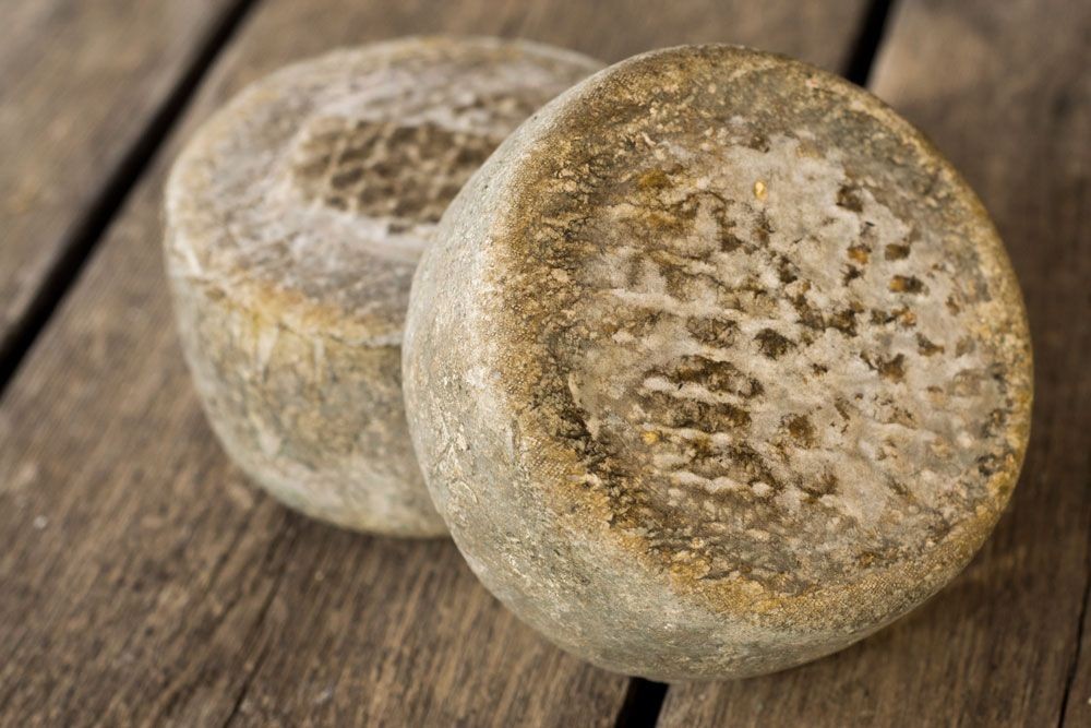 Formatge de cabra tipus Garrotxa Mas Glosset (500gr.)