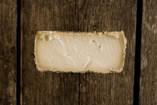 Formatge de cabra tipus Garrotxa Mas Glosset (500gr.)