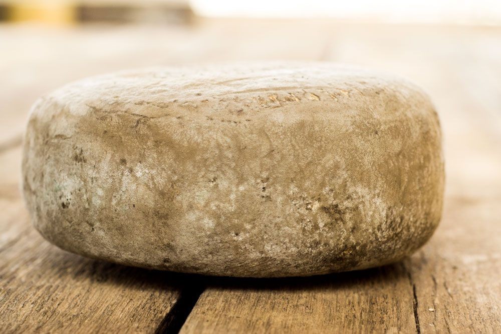 Formatge de cabra tipus Garrotxa Mas Glosset (1kg.)