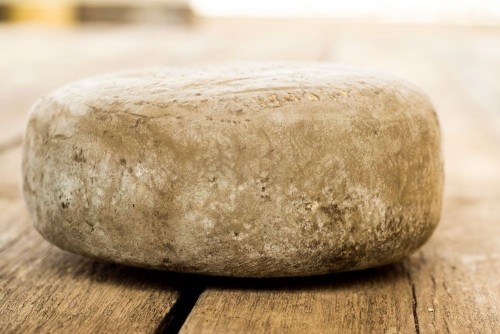 Formatge de cabra tipus Garrotxa Mas Glosset (1kg.)