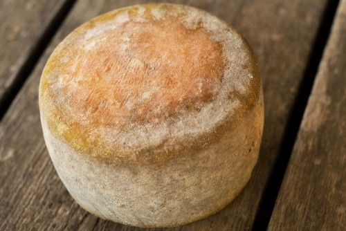 Formatge de vaca curat Mas Glosset (0,5 kg.)