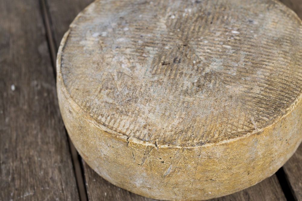 Formatge de cabra Roc Mas Glosset