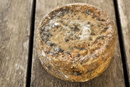 Formatge serrat d’ovella Mas Glosset