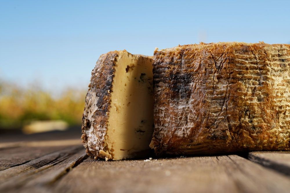 Formatge blau de búfala Muntanyola (0% lactosa)